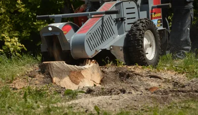 Baumalight WB44 walk-behind stump grinder with 13HP engine shown on jobsite background